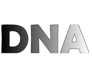 DNA 06